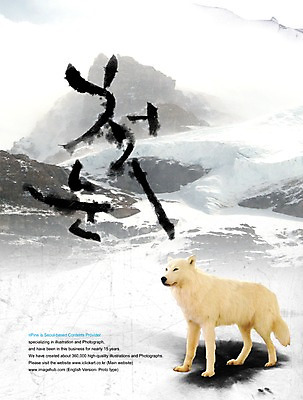 PSD 동물 편집이미지 문자 손글씨 계절 캘리배경 백그라운드 겨울 캘리편집 캘리그라피 타이포그라피 글자캘리그라피 한글 사람없음 흰색 눈 개 진돗개 눈배경 첫눈 이미지편집 자연요소 컬러 포유류 날씨 눈_날씨 파일형식