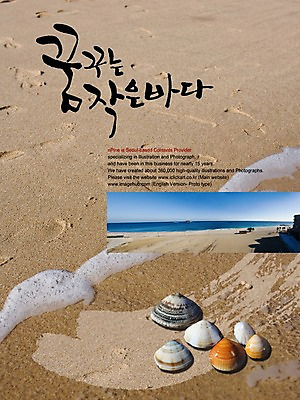 PSD 편집이미지 문자 손글씨 알파벳 영어 모래 바다 캘리배경 백그라운드 캘리편집 캘리그라피 자연 조개 타이포그라피 글자캘리그라피 해변 사람없음 모래사장 희망 꿈 작음 바다배경 이미지편집 감정 어패류 크기 생태계 파일형식