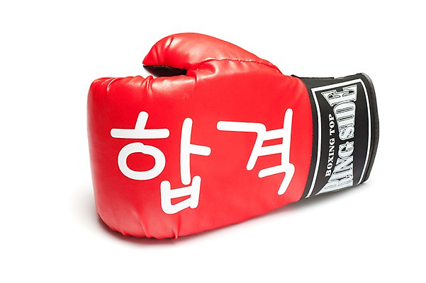 포토 JPG 스튜디오촬영 응원 실내 누끼 사람없음 빨간색 수능 글러브 기도 권투글러브 명중 오브젝트 입시 합격 만점 고득점 국내포토 스포츠용품 컬러 장갑 내부 학습 시험 점수 파일형식