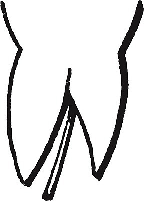 EPS 해외이미지 식물 선 잎 일러스트 미술 사람없음 검은색 흰색 그림 판화 화살촉 해외202004 해외202105 해외일러스트 컬러 문화예술 화살 파일형식 벡터