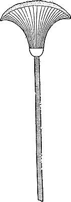 EPS 해외이미지 식물 종이 잎 일러스트 이집트 미술 검은색 수확 골동품 흰색 기록 막대기 역사 인도인 그림 봉 섬유 판화 옛날 파피루스 해외202004 해외202105 해외일러스트 외국인 컬러 농업 아프리카 문화예술 동양인 직물 파일형식 벡터