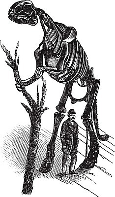 EPS 해외이미지 동물 남자 야생동물 과학 일러스트 파충류 미술 사람 검은색 수확 골동품 흰색 역사 큼 전시회 묘사 공룡 그림 박물관 과거 화석 판화 서식지 선사시대 발견 옛날 쥬라기 해외202004 해외202105 해외일러스트 컬러 컨셉 농업 문화예술 전시 크기 파일형식 벡터