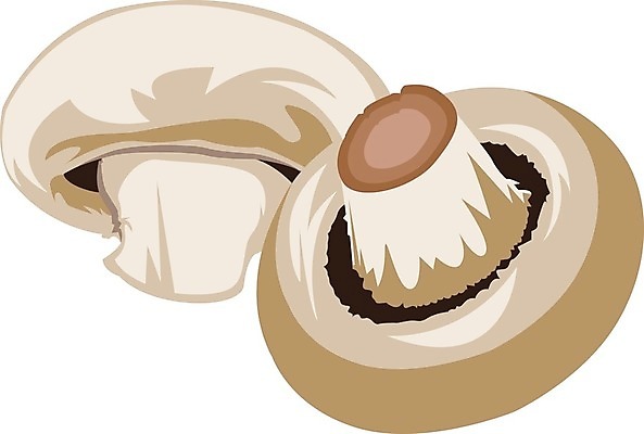 EPS 해외이미지 디자인 선 음식 백그라운드 채소 과일 일러스트 자연 건강 미술 버섯 샐러드 수확 골동품 흰색 신선 먹기 그림 유기농 원예 복고 날것 판화 고립 곰팡이 목판화 식용 엘리먼트 캡모자 해외202004 해외202105 해외일러스트 모자_잡화 웰빙 컬러 농업 모션 문화예술 취미 생태계 파일형식 벡터