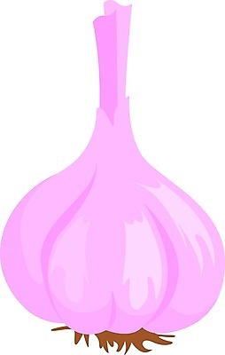 EPS 해외이미지 식물 계절 꽃 음식 분홍색 백그라운드 잎 패턴 일러스트 벽지 양파 추상 장식 초록색 빛 햇빛 태양 노란색 맑음 에너지 성장 흰색 신선 원형 개화 허브 내추럴 깅엄 특별함 카피스페이스 해외202004 해외202105 해외일러스트 자연요소 도형 컬러 컨셉 무늬 채소 날씨 공백 파일형식 벡터