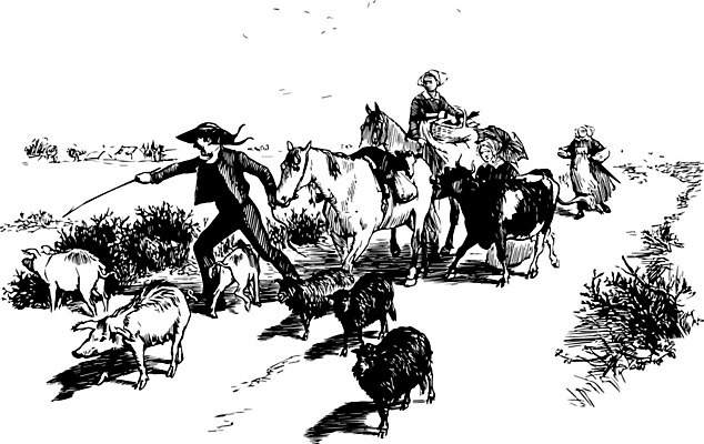 EPS 해외이미지 동물 선 일러스트 가족 미술 검은색 수확 흰색 그림 판화 매각 세계보건기구 해외202004 해외202105 해외일러스트 컬러 농업 관계 문화예술 파일형식 벡터