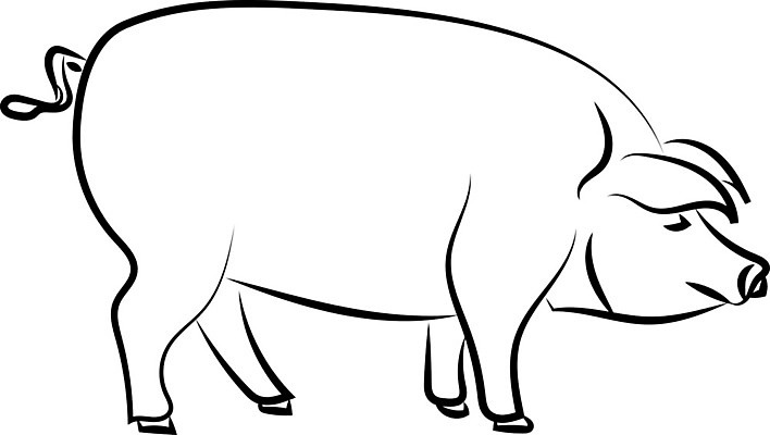 EPS 해외이미지 동물 디자인 백그라운드 농업 일러스트 포유류 돼지고기 서기 반려동물 농장 가축 시골 돼지 큼 그림 베이컨 판화 고립 목판화 해외202004 해외202105 해외일러스트 산업 모션 육류 미술 크기 파일형식 벡터