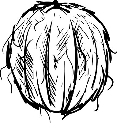 EPS 해외이미지 식물 손 디자인 선 음식 백그라운드 잎 채소 일러스트 자연 건강 미술 연필 우유 수확 흰색 개화 스케치 심볼 오브젝트 그림 복고 코코넛 판화 고립 그런지 목판화 숙성 엘리먼트 옛날 채식주의자 해외202004 해외202105 해외일러스트 꽃 컬러 농업 과일 문화예술 학용품 유제품 신체부위 필기구 생태계 채식 파일형식 벡터