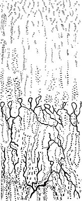 EPS 해외이미지 선 일러스트 미술 검은색 수확 흰색 그림 판화 연골 해외202004 해외202105 해외일러스트 컬러 농업 문화예술 파일형식 벡터