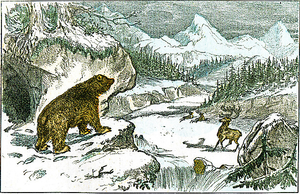 포토 JPG 해외이미지 식물 동물 유럽 과학 패턴 일러스트 곰 사슴 생물 산 따뜻함 미술 풍경 사람없음 수확 골동품 성장 센터 동굴 언덕 그림 생물학 빙하 지역 온도 판화 멸종위기동물 산악지대 매머드 기간 순록 옛날 이상 해외202004 해외202105 해외포토 교육 나라 무늬 농업 포유류 문화예술 파일형식 멸종위기종