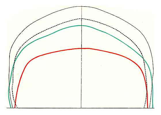 포토 JPG 해외이미지 디자인 얼굴 선 과학 곡선 일러스트 해부 표면 그래프 골격 미술 사람 사람없음 가로 숫자 수확 골동품 흰색 역사 스케치 자르기 그림 생물학 판화 똑같은 옛날 해골모형 해외202004 해외202105 해외포토 문자 교육 컬러 농업 의학 모션 문화예술 신체부위 모형 파일형식