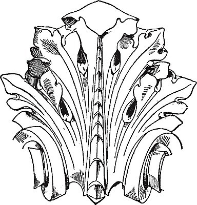 EPS 해외이미지 디자인 선 잎 일러스트 미술 검은색 수확 흰색 그림 판화 몬테카를로 해외202004 해외202105 해외일러스트 식물 컬러 농업 문화예술 모나코 파일형식 벡터