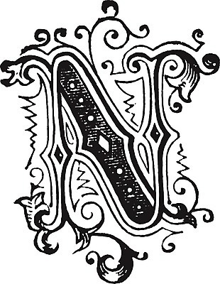 EPS 해외이미지 선 일러스트 미술 장식 검은색 수확 흰색 N 편지 그림 판화 해외202004 해외202105 해외일러스트 알파벳 컬러 농업 문화예술 파일형식 벡터