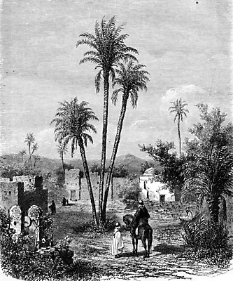 포토 JPG 해외이미지 나무 동물 일러스트 자연 3 미술 사람 사람없음 물 환경 검은색 수확 골동품 흰색 역사 승차 그림 판화 서쪽 알제리 옛날 오아시스 해외202004 해외202105 해외포토 자연요소 식물 컬러 농업 모션 아프리카 문화예술 방향 생태계 파일형식