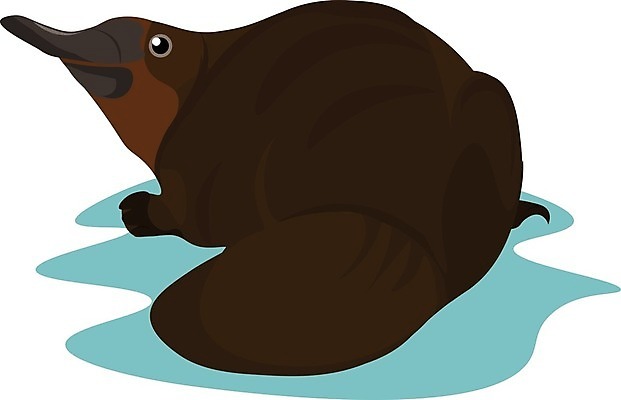 EPS 해외이미지 클립아트 백그라운드 일러스트 포유류 발 자연 털 표정 물 갈색 쌓기 계란 흰색 왼쪽 그림 다이빙 꼬리 물갈퀴 계산서 거짓말 해외202004 해외202105 해외일러스트 자연요소 동물 컬러 모션 신체부위 알 수영 방향 생태계 수중스포츠 파일형식 벡터