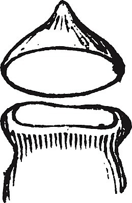 EPS 해외이미지 선 일러스트 이끼 미술 검은색 수확 뚜껑 흰색 그림 판화 방광 해외202004 해외202105 해외일러스트 컬러 농업 문화예술 비뇨기관 파일형식 벡터