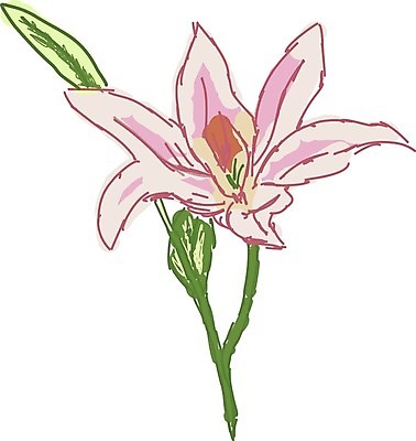 EPS 해외이미지 식물 디자인 꽃잎 꽃 실루엣 선 분홍색 꽃다발 결혼 백그라운드 꽃무늬 패턴 일러스트 자연 벽지 추상 그래픽 장식 초록색 정원 검은색 수확 벚꽃 흰색 신용카드 우아함 그림 윤곽 내추럴 고립 엘리먼트 칼라꽃 스타일 해외202004 해외202105 해외일러스트 컬러 컨셉 무늬 농업 촬영기법 이벤트 금융 생태계 파일형식 벡터