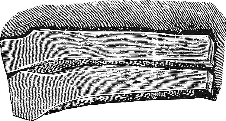 EPS 해외이미지 선 일러스트 부분 미술 검은색 수확 흰색 그림 판화 연골 해외202004 해외202105 해외일러스트 컬러 농업 문화예술 파일형식 벡터