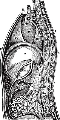 EPS 해외이미지 선 일러스트 미술 검은색 수확 흰색 그림 판화 해외202004 해외202105 해외일러스트 컬러 농업 문화예술 파일형식 벡터