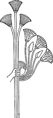 EPS 해외이미지 식물 손 줄기 잎 일러스트 이집트 미술 검은색 수확 골동품 흰색 기록 잡기 역사 다발 그림 판화 옛날 파피루스 해외202004 해외202105 해외일러스트 컬러 농업 모션 아프리카 문화예술 신체부위 파일형식 벡터