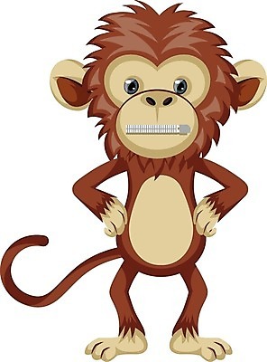 EPS 해외이미지 동물 캐릭터 디자인 행복 감정 얼굴 백그라운드 일러스트 포유류 자연 동물원 미술 사람 그래픽 세트 침묵 흰색 원숭이 표현 만화 심볼 사인 유인원 이모티콘 고립 벙어리 해외202004 해외202105 해외일러스트 일러캐릭터 컬러 문화예술 신체부위 소리 생태계 파일형식 벡터