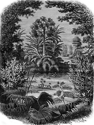 포토 JPG 해외이미지 과학 일러스트 포유류 자연 종류 미술 풍경 사람없음 검은색 수확 골동품 흰색 역사 숲 그림 화석 고생물 판화 내추럴 옛날 지질학 해외202004 해외202105 해외포토 동물 교육 컬러 농업 문화예술 생물 생태계 파일형식