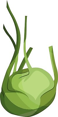 EPS 해외이미지 식물 손 음식 농업 다이어트 채소 일러스트 재료 자연 건강 종류 요리 미술 그래픽 초록색 정원 샐러드 수확 신선 약초 먹기 메뉴 에코 유기농 양배추 내추럴 고립 채식주의자 콜라비 비건 해외202004 해외202105 해외일러스트 웰빙 산업 컬러 모션 문화예술 신체부위 환경 풀_식물 생태계 채식 파일형식 벡터