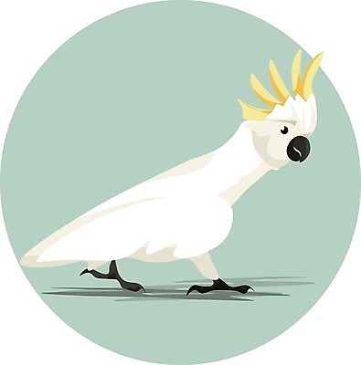 EPS 해외이미지 동물 야생동물 날개 일러스트 장난 조류 반려동물 노란색 흰색 숲 깃털 그림 부리 앵무새 지역 갈기 멜버른 이국적 전국 힘찬 해외202004 해외202105 해외일러스트 컬러 컨셉 호주 파일형식 벡터