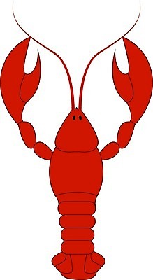 EPS 해외이미지 동물 음식 바다 백그라운드 일러스트 조개 생물 건강 육류 갑각류 어류 요리 미술 그래픽 세트 식사 게 신선 가재 해산물 사인 고립 삶기 집게발 해외202004 해외202105 해외일러스트 식재료 문화예술 어패류 수중동물 파일형식 벡터