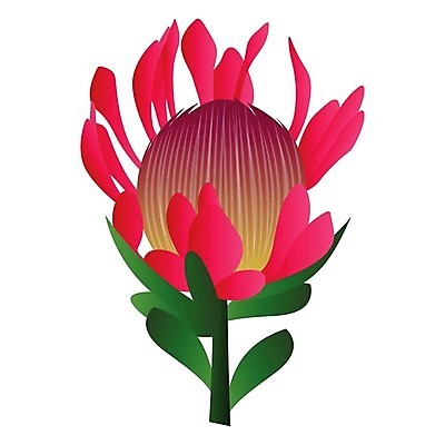 EPS 해외이미지 식물 꽃잎 꽃 줄기 분홍색 꽃다발 잎 꽃무늬 일러스트 자연 장식 초록색 정원 벚꽃 흰색 나뭇가지 꽃집 싱글 내추럴 아티초크 이국적 해외202004 해외202105 해외일러스트 나무 컬러 무늬 상점 생태계 파일형식 벡터