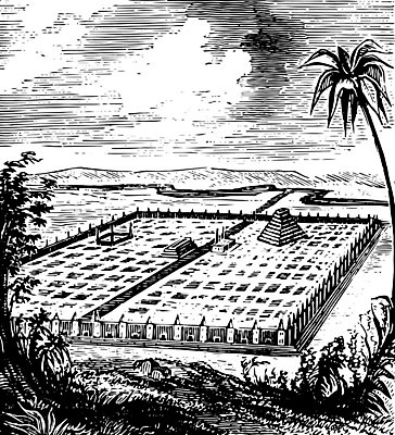 EPS 해외이미지 나무 선 일러스트 자연 수확 언덕 그림 해외202004 해외202105 해외일러스트 식물 농업 생태계 파일형식 벡터