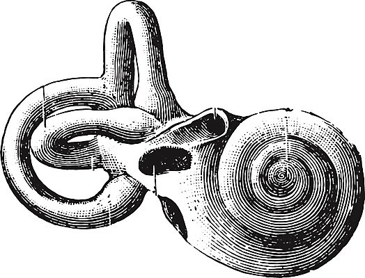 EPS 해외이미지 과학 일러스트 해부 미술 사람 야외 검은색 수확 골동품 껍질 흰색 역사 그림 생물학 운하 판화 수도교 옛날 우수 해외202004 해외202105 해외일러스트 교육 컬러 농업 의학 문화예술 다리_건축물 절기 파일형식 벡터