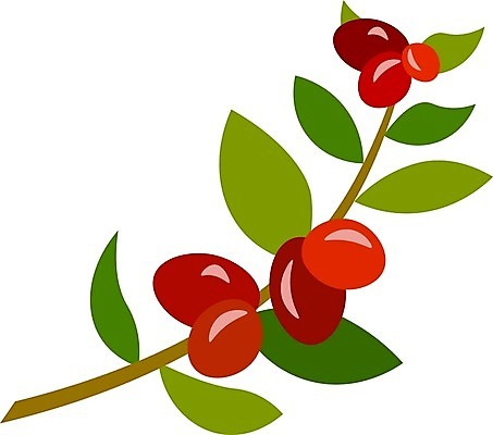 EPS 해외이미지 나무 식물 무료이미지 디자인 커피 음료 음식 줄기 잎 농업 일러스트 재료 자연 콩 씨앗 그래픽 초록색 농작물 나뭇가지 신선 상품 스케치 허브 심볼 유기농 에스프레소 내추럴 고립 아랍어 해외202004 해외202105 해외일러스트 웰빙 산업 컬러 곡류 미술 생태계 파일형식 벡터 무료콘텐츠