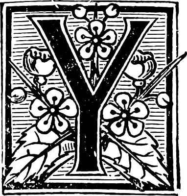 EPS 해외이미지 잎 꽃무늬 일러스트 장식 수확 편지 똑같은 해외202004 해외202105 해외일러스트 식물 꽃 무늬 농업 파일형식 벡터