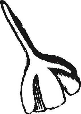 EPS 해외이미지 선 일러스트 이끼 미술 검은색 수확 흰색 그림 판화 방광 해외202004 해외202105 해외일러스트 컬러 농업 문화예술 비뇨기관 파일형식 벡터