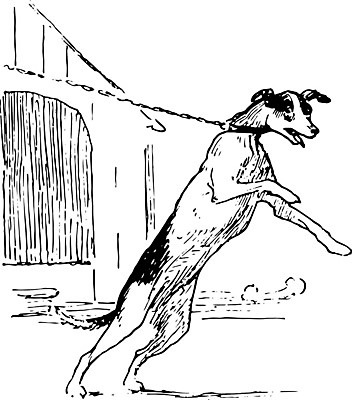 EPS 해외이미지 선 일러스트 미술 검은색 수확 흰색 개 그림 여우 판화 불평 해외202004 해외202105 해외일러스트 컬러 농업 포유류 문화예술 파일형식 벡터