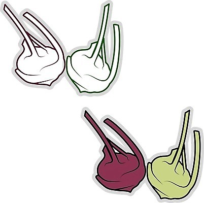 EPS 해외이미지 식물 디자인 음식 백그라운드 잎 채소 일러스트 자연 건강 옥수수 그래픽 초록색 세트 농장 수확 신선 브로콜리 스케치 심볼 유기농 양배추 후추 내추럴 고립 비트 채식주의자 총각무 콜라비 해외202004 해외202105 해외일러스트 웰빙 컬러 농업 곡류 미술 무 향신료 생태계 채식 파일형식 벡터