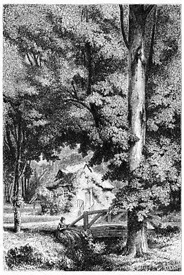 포토 JPG 해외이미지 나무 일러스트 자연 휴식 미술 사람 사람없음 환경 검은색 수확 골동품 흰색 역사 숲 그림 판화 베르사유 내추럴 옛날 혼자 해외202004 해외202105 해외포토 식물 컬러 컨셉 농업 문화예술 생태계 파리_프랑스 파일형식