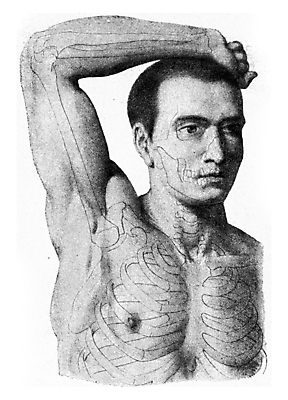 포토 JPG 해외이미지 얼굴 과학 일러스트 해부 근육 미술 사람 사람없음 머리 검은색 수확 골동품 흰색 입 조직 역사 큼 피부 그림 코 귀 리프트 목 팔 판화 턱 궤 옛날 해외202004 해외202105 해외포토 컬러 농업 의학 문화예술 신체부위 크기 파일형식