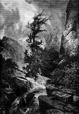 포토 JPG 해외이미지 나무 계절 일러스트 자연 바람 날씨 미술 사람없음 환경 검은색 힘 수확 골동품 흰색 떨어짐 숲 그림 폭풍 판화 삼나무 옛날 재앙 허리케인 해외202004 해외202105 해외포토 자연요소 식물 컬러 컨셉 농업 문화예술 자연재해 생태계 파일형식