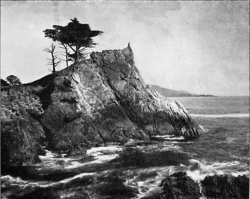 포토 JPG 해외이미지 바다 여행 일러스트 자연 미술 사람없음 환경 검은색 수확 골동품 흰색 만 서핑 역사 그림 캘리포니아 판화 내추럴 옛날 수평선 해외202004 해외202105 해외포토 컬러 농업 문화예술 미국 수상스포츠 생태계 파일형식