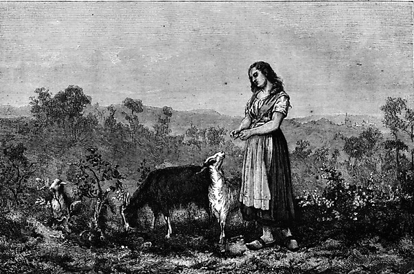 포토 JPG 해외이미지 동물 일러스트 자연 염소 미술 사람 사람없음 환경 검은색 가축 수확 골동품 흰색 역사 그림 판화 옛날 해외202004 해외202105 해외포토 컬러 농업 포유류 문화예술 생태계 파일형식