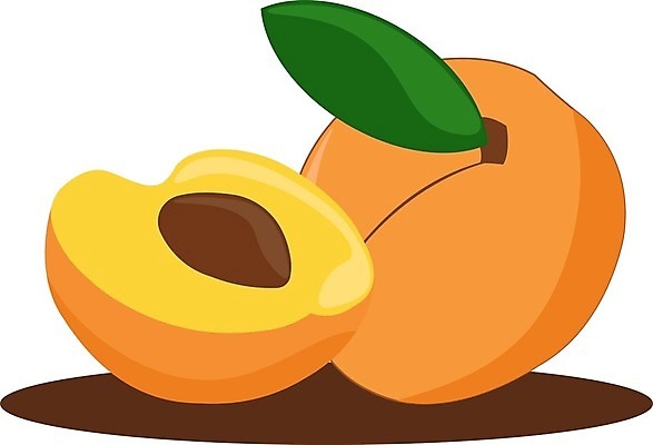 EPS 해외이미지 음식 백그라운드 잎 다이어트 오렌지 일러스트 재료 자연 디저트 건강 미술 여름 신선 달콤 맛 스케치 오브젝트 유기농 날것 복숭아 비타민 내추럴 고립 살구 숙성 맛있는 해외202105 해외일러스트 식물 웰빙 계절 컨셉 과일 문화예술 생태계 영양소 파일형식 벡터