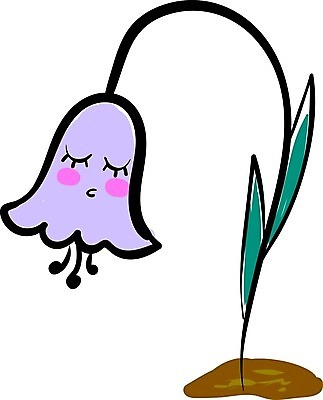 EPS 해외이미지 식물 디자인 꽃잎 꽃 꽃다발 결혼 잎 꽃무늬 일러스트 자연 미술 장식 초록색 파란색 봄 벚꽃 종 흰색 화려 내추럴 구성 블루벨 캄파눌라 스타일 해외202105 해외일러스트 계절 컬러 컨셉 무늬 문화예술 이벤트 생태계 파일형식 벡터