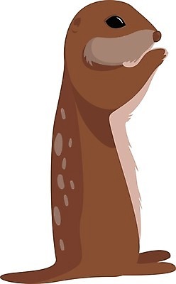 EPS 해외이미지 동물 실루엣 야생동물 겨울 일러스트 포유류 모션 자연 동물원 앉기 그래픽 산책 추위 설치류 북극 다람쥐 북쪽 솜털 고립 땅바닥 해외202105 해외일러스트 계절 휴식 바닥 촬영기법 극지방 방향 생태계 파일형식 벡터