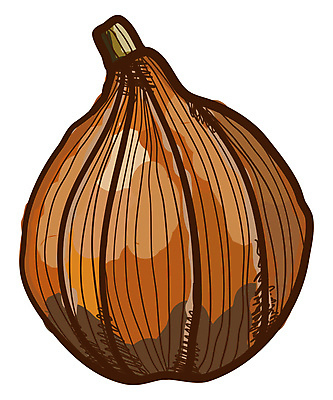 포토 JPG 해외이미지 식물 디자인 계절 음식 줄기 백그라운드 채소 오렌지 일러스트 자연 호박 휴가 건강 미술 사람없음 노란색 수확 가을 흰색 신선 홋카이도 유기농 날것 박 추수감사절 스쿼시 고립 숙성 채식주의자 해외202105 해외포토 웰빙 기독교 스포츠 컬러 농업 과일 문화예술 구기 일본 생태계 채식 파일형식