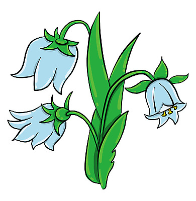 포토 JPG 해외이미지 식물 디자인 꽃 줄기 잎 꽃무늬 일러스트 자연 사람없음 장식 초록색 여름 파란색 세트 정원 보라색 봄 벚꽃 종 흰색 다발 묘사 내추럴 고립 블루벨 엘리먼트 해외202105 해외포토 계절 컬러 무늬 생태계 파일형식