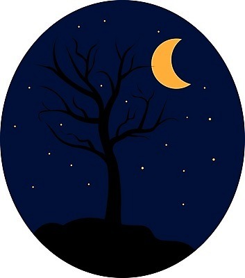 EPS 해외이미지 나무 디자인 배너 계절 실루엣 별 백그라운드 일러스트 자연 하늘 추상 파노라마 미술 풍경 야외 그래픽 여름 파란색 어둠 달 흰색 야간 숲 달빛 가득함 언덕 질감 장면 해외202105 해외일러스트 자연요소 식물 컬러 무늬 문화예술 촬영기법 생태계 파일형식 벡터