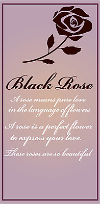 EPS 식물 영어 꽃 문장 한송이 일러스트 사람없음 장미 라벨 검은색 국내일러스트 문자 1 컬러 프레임 송이 파일형식 벡터