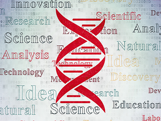 포토 JPG 해외이미지 구름 아이콘 교육 종이 과학 백그라운드 컨셉 학교 아이디어 세포 나선형 건강 실험 사람없음 빨간색 컴퓨터 약 꼬리표 디지털 자료 페인트 고통 정보 흰색 진화 실험실 암호 DNA 생명공학 약국 심볼 분석 그림 질감 조제 내추럴 혁명 개발 돌봄 유전 해외202004 해외202105 해외포토 자연요소 감정 컬러 무늬 의학 모션 전자제품 라벨 소방 만들기 파일형식