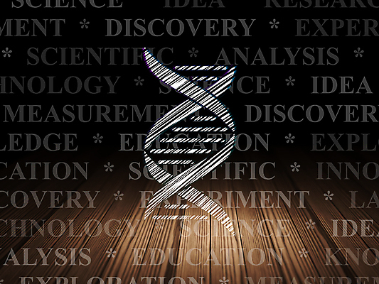 포토 JPG 해외이미지 구름 아이콘 교육 과학 백그라운드 컨셉 학교 아이디어 세포 나선형 건강 실험 사람없음 목재 빛 약 꼬리표 우주 어둠 페인트 방 고통 수확 진화 실험실 DNA 약국 심볼 분석 그림 질감 조제 내추럴 혁명 개발 그런지 돌봄 옛날 유전 해외202004 해외202105 해외포토 자연요소 나무 감정 무늬 농업 재료 의학 모션 라벨 생명공학 소방 만들기 파일형식